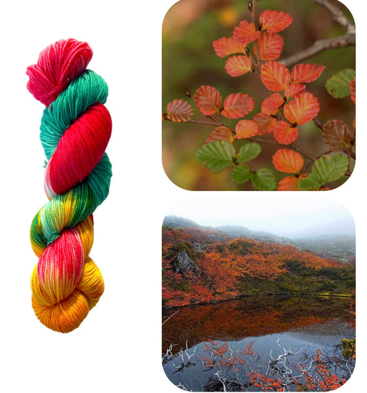 Changing of the Fagus 4ply yarn